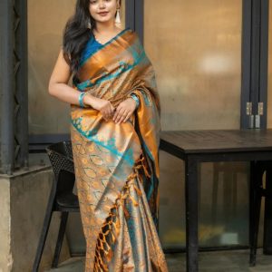 Kanjivaram Katan Sharee